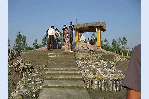 Viaggio in India 2008 - Sunderbans